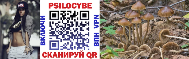 Галлюциногенные грибы Psilocybe  Бирск 